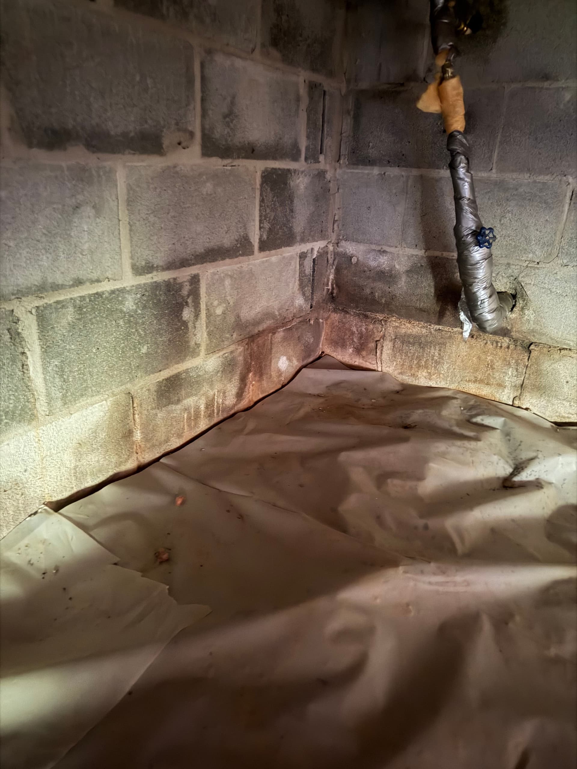 Gallery photos for Resolving Crawl Space Moisture Issues: Image #2