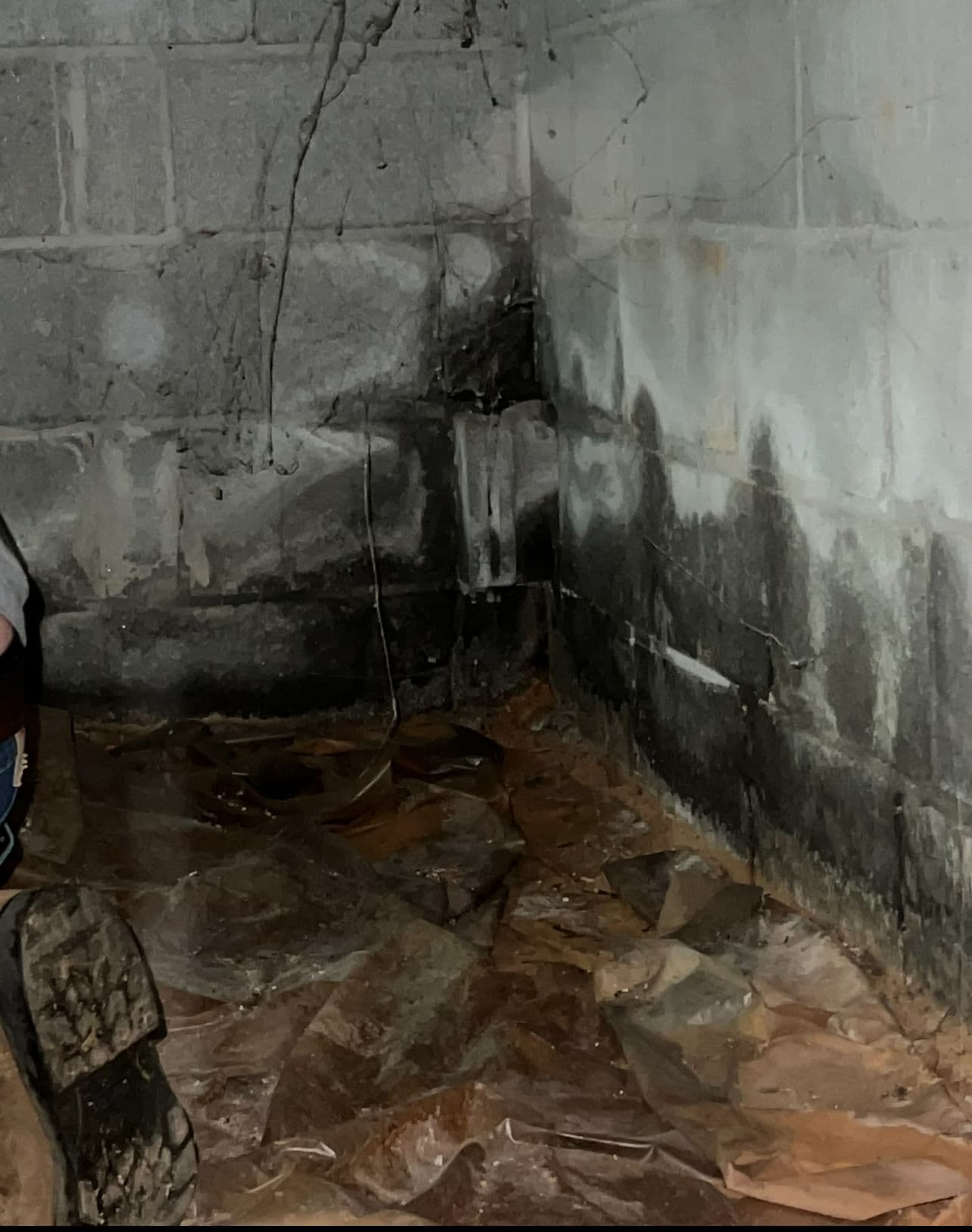 Project Resolving Crawl Space Moisture Issues image