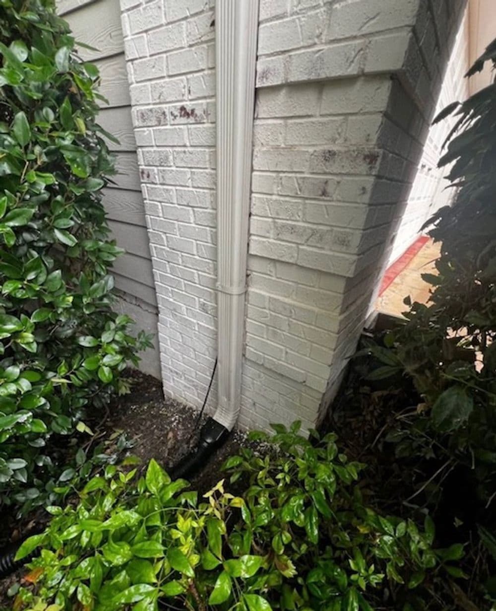 Downspout drainage system at a home corner with greenery surrounding it.